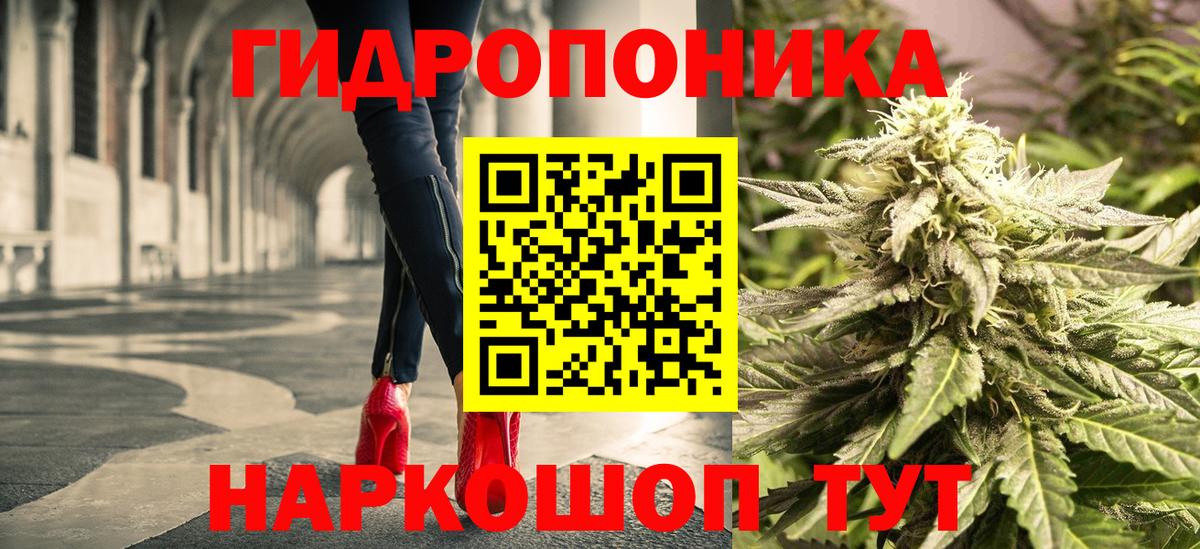 Канабис Ganja  Вход с VPN  Прохладный  Шишки марихуана Bruce Banner 